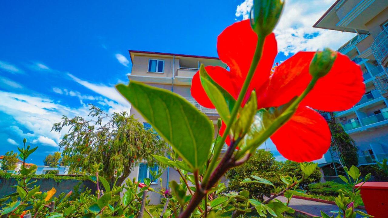 Club Wasa Holiday Village All Inclusive Toslak Exterior foto